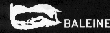 Le Logo des Editions La Baleine